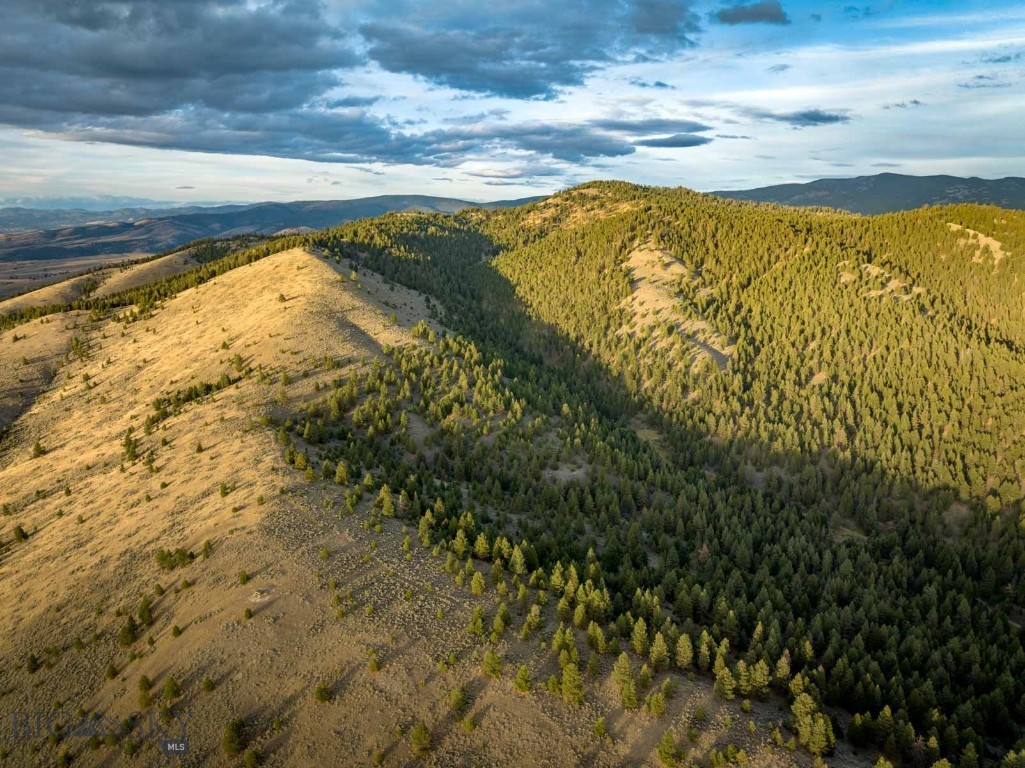 3689 Corley Gulch Road Property Photo 11