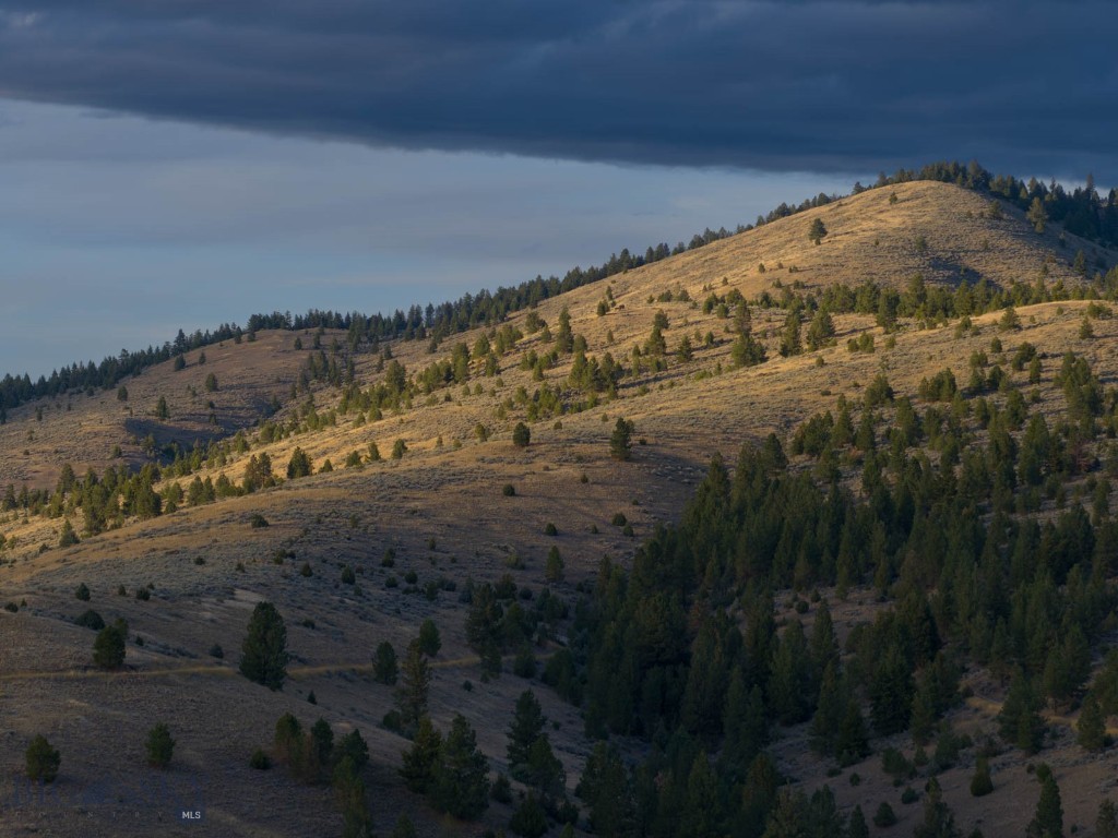 3689 Corley Gulch Road Property Photo 13