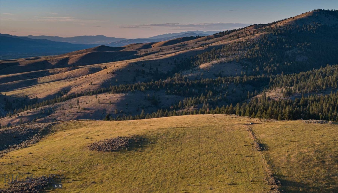 3689 Corley Gulch Road Property Photo 16