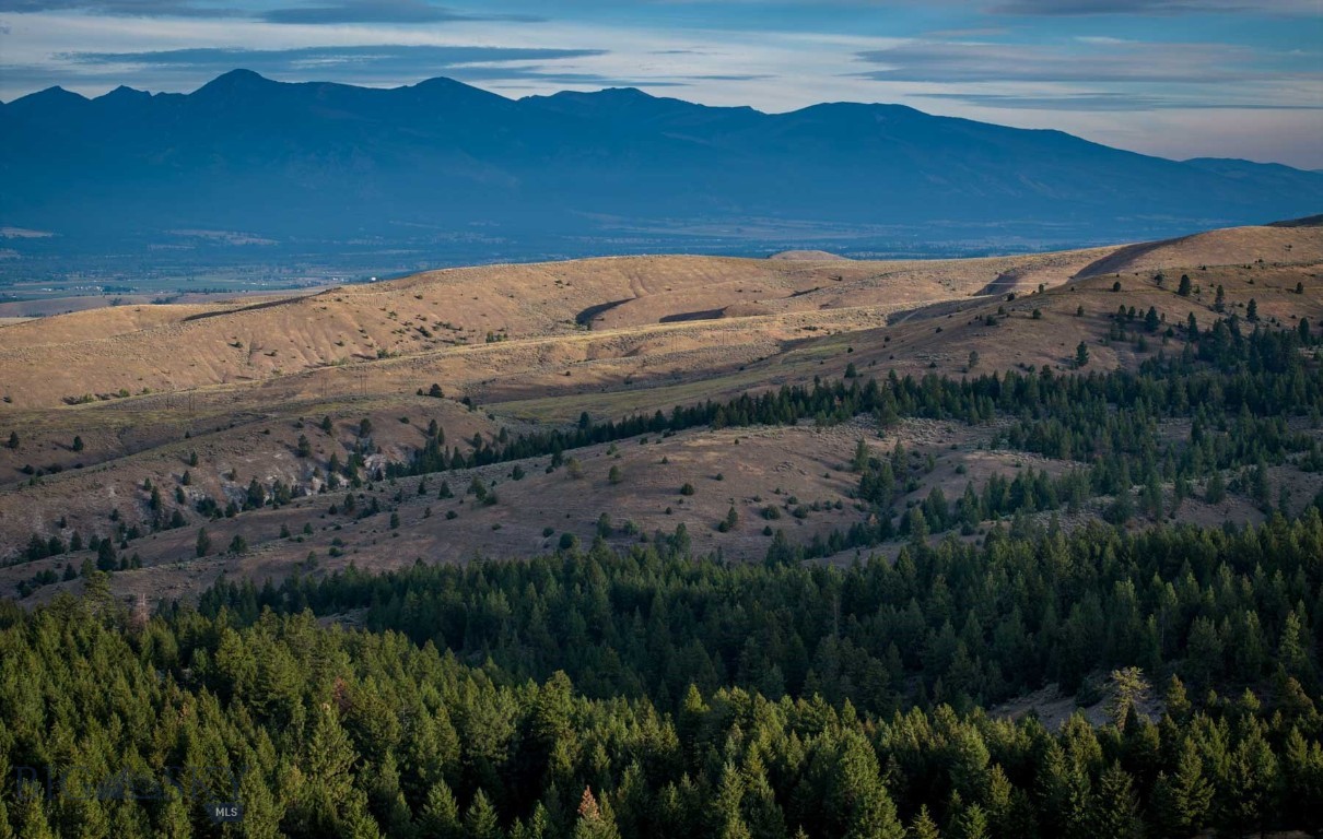 3689 Corley Gulch Road Property Photo 17