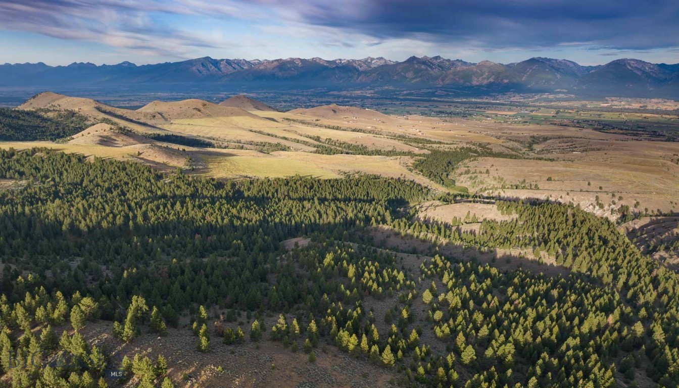 3689 Corley Gulch Road Property Photo 24