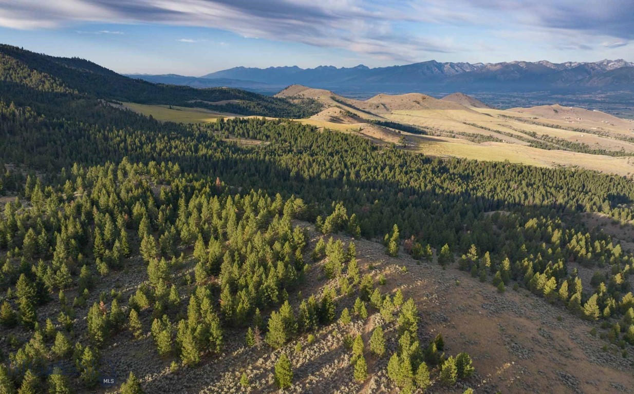 3689 Corley Gulch Road Property Photo 25