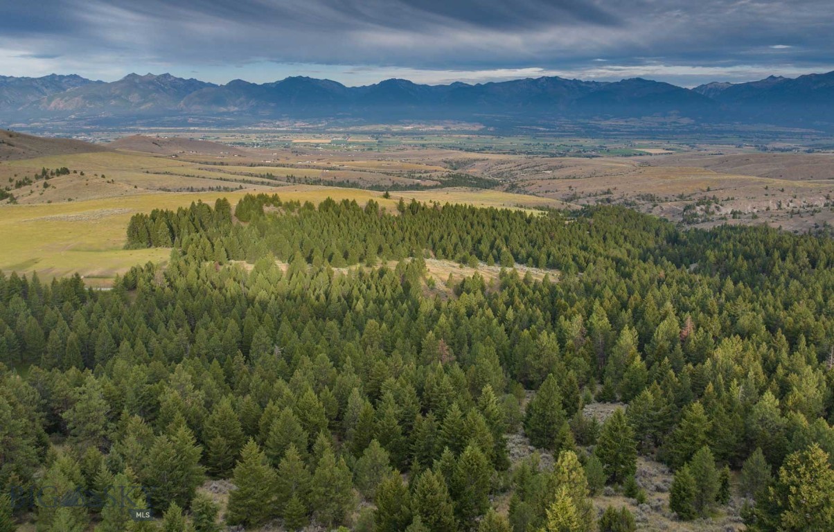 3689 Corley Gulch Road Property Photo 26