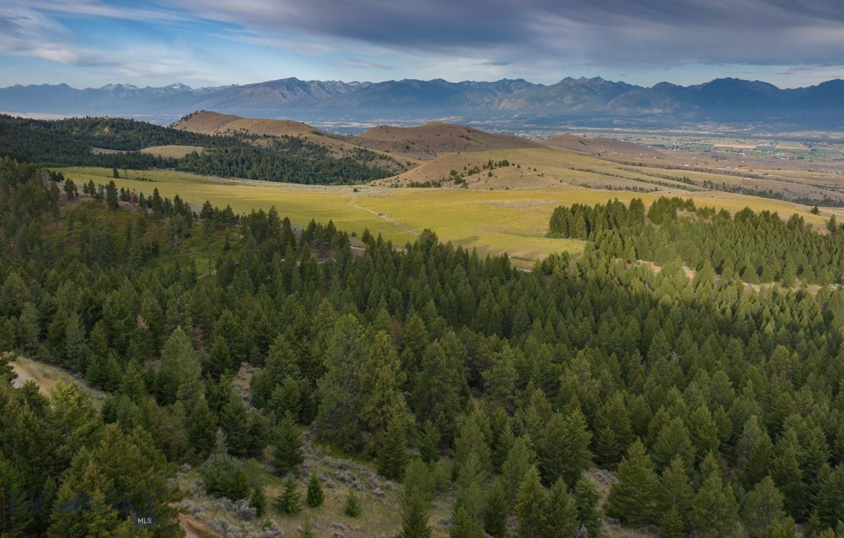3689 Corley Gulch Road Property Photo 27