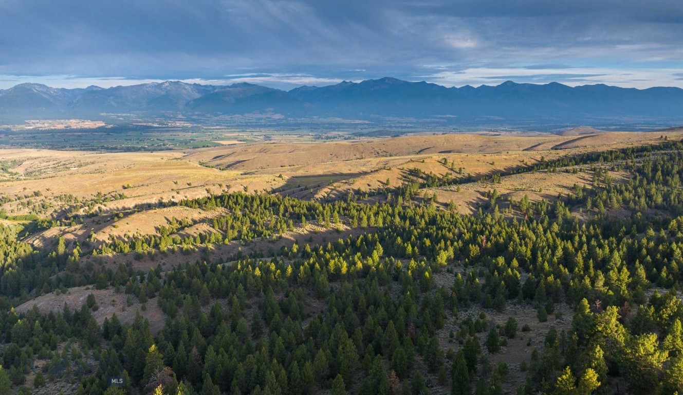 3689 Corley Gulch Road Property Photo 28