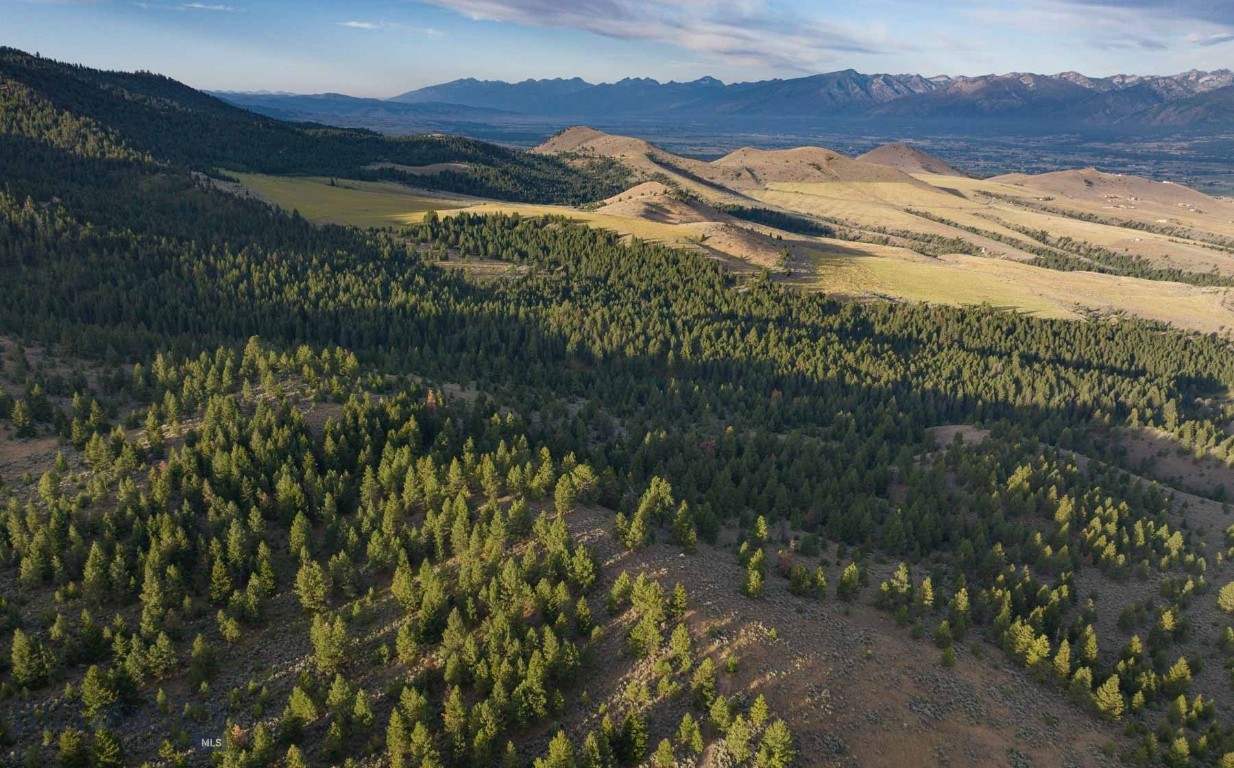 3689 Corley Gulch Road Property Photo 29