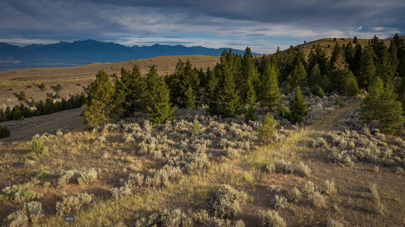 3689 Corley Gulch Road Property Photo 30