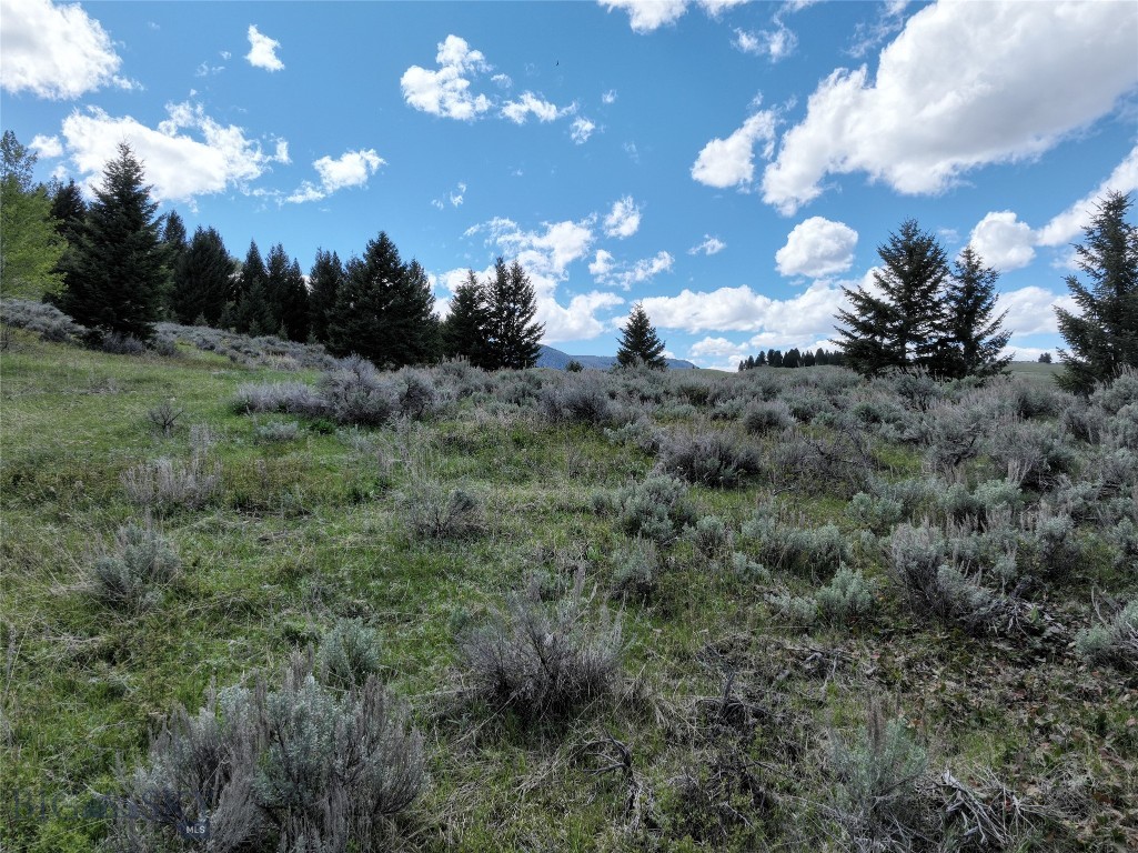 Lot 46a-1 Sun West Ranch Property Photo 10