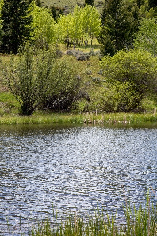 Lot 46a-1 Sun West Ranch Property Photo 24