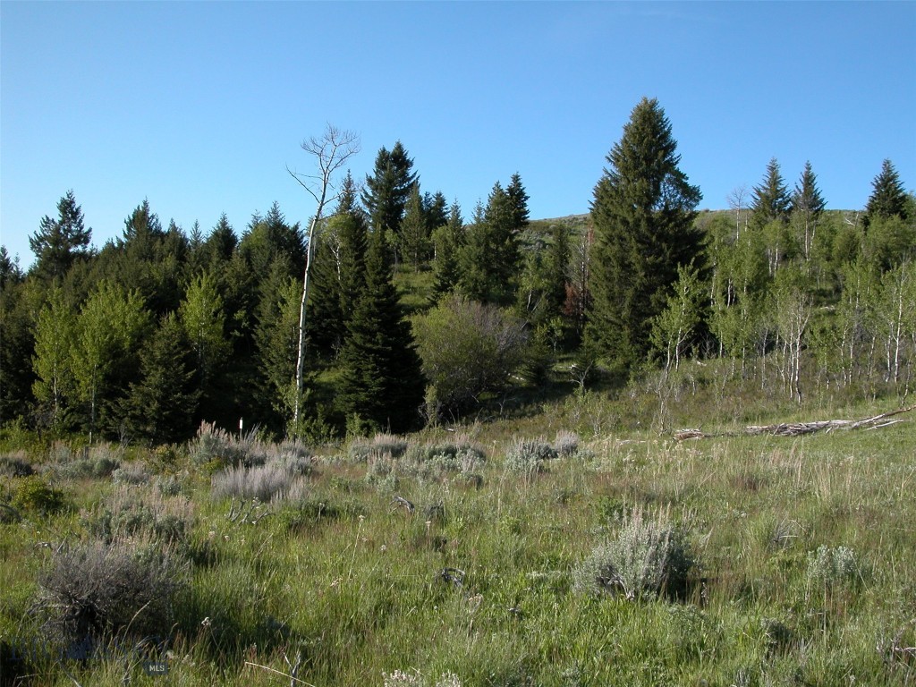 Lot 46a-1 Sun West Ranch Property Photo 34