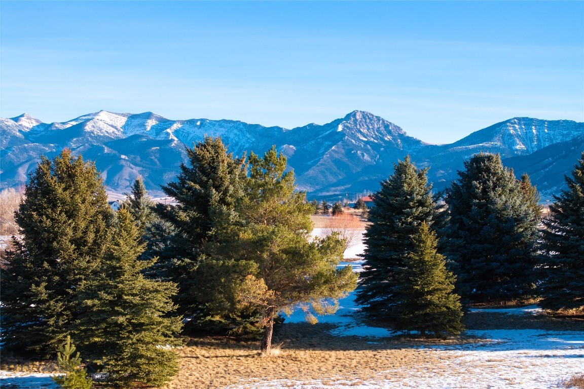 Tbd Bridger Lake Drive Property Photo