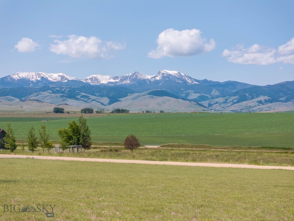 Tbd Whitetail Drive Property Photo 1