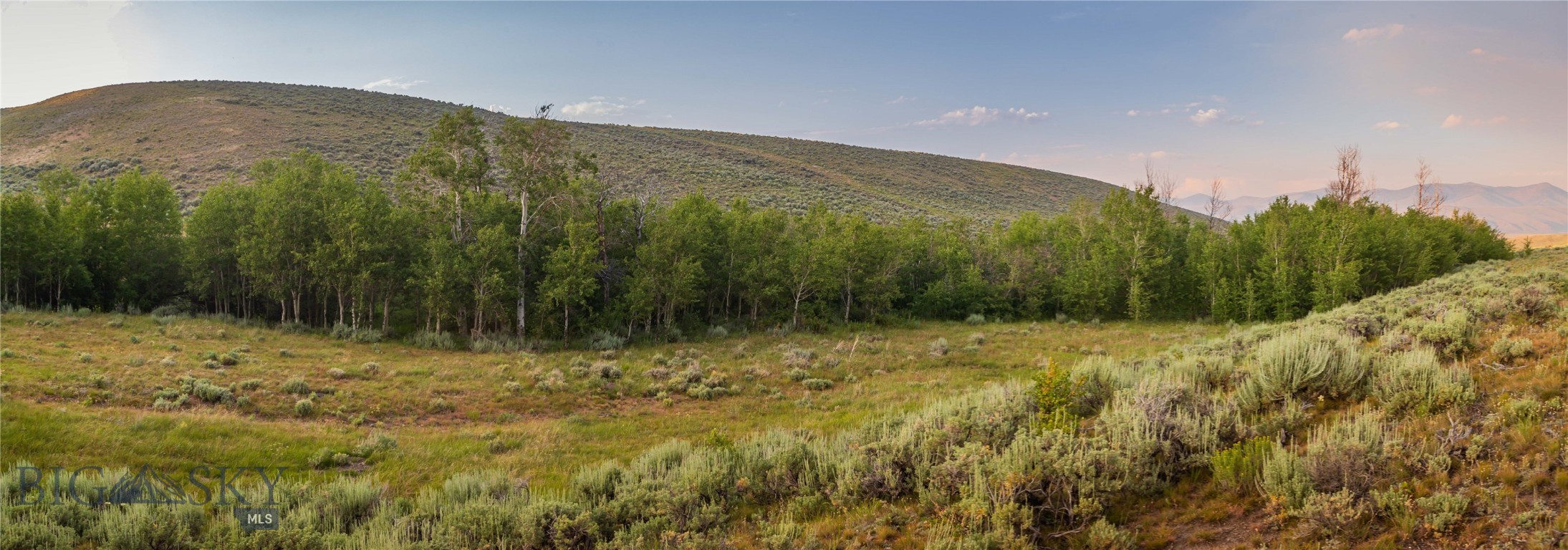 31420 Hwy 324 Property Photo 8