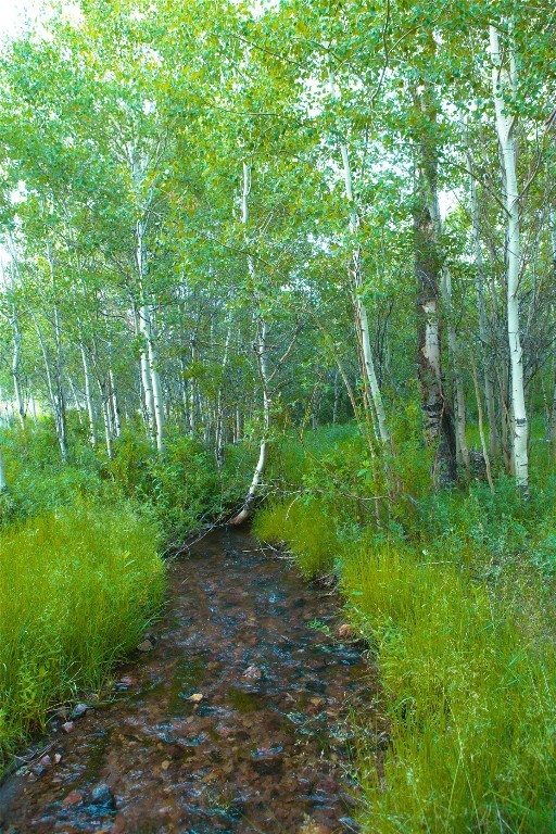 31420 Hwy 324 Property Photo 11