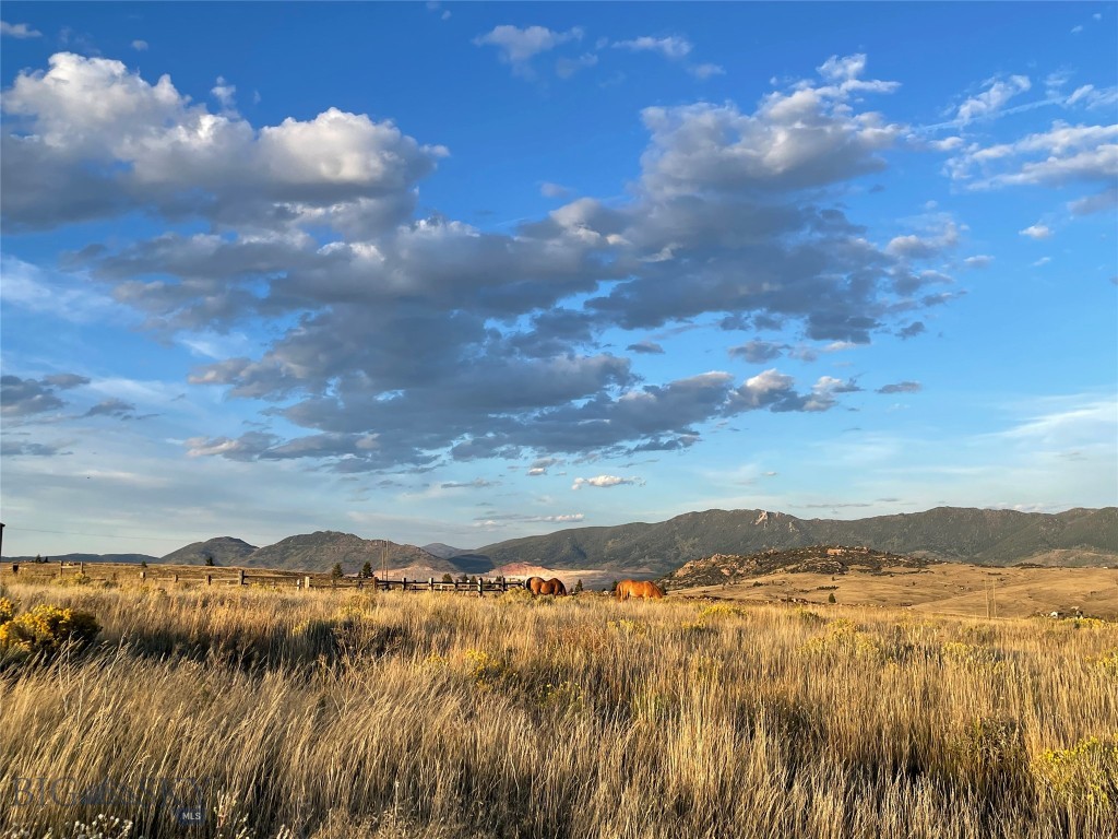 1424 Beef Trail Road Property Photo 63