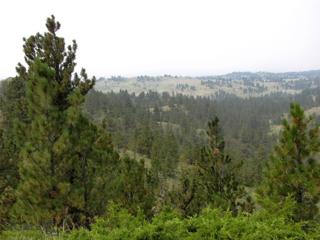 Tbd Lone Rock Canyon Lane Sc-25 Property Photo 2