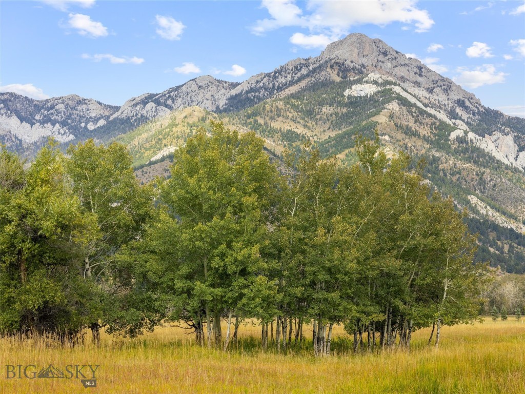Tbd Springhill Community Road Property Photo
