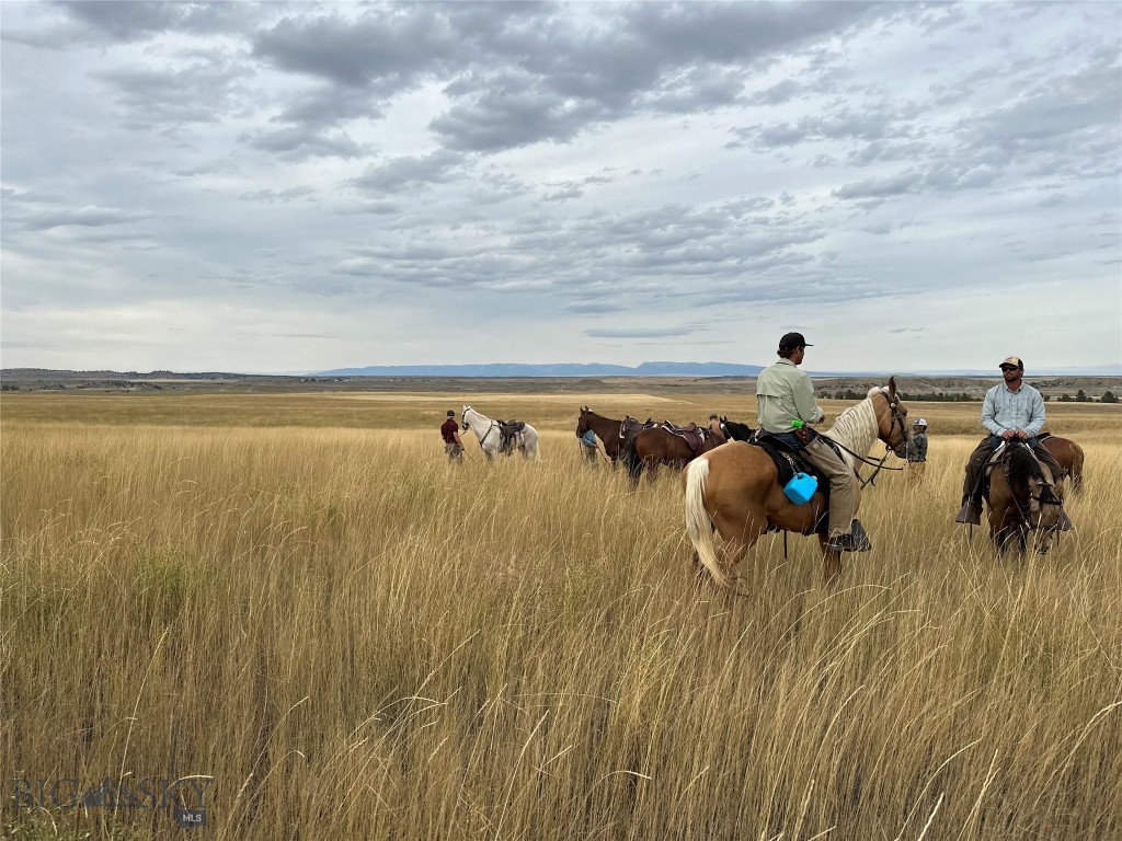 57 South Barber Rd Property Photo 2