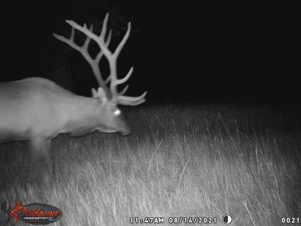 57 South Barber Rd Property Photo 4