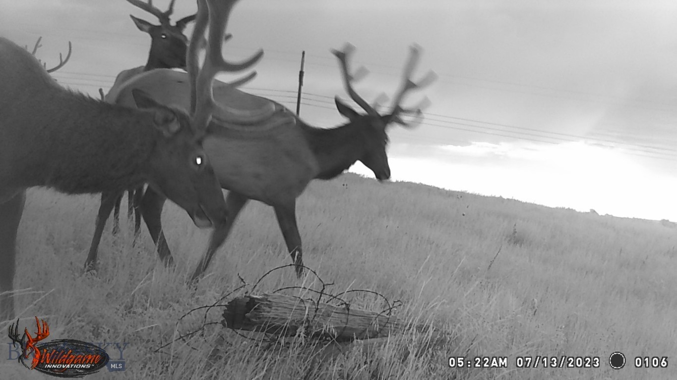 57 South Barber Rd Property Photo 7