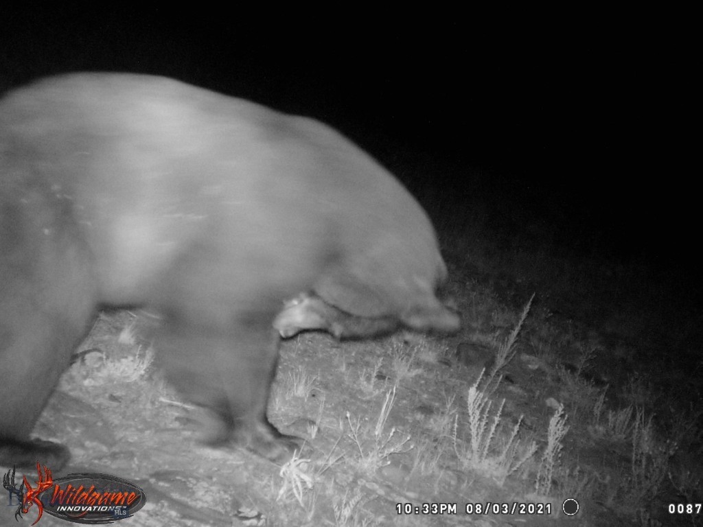 57 South Barber Rd Property Photo 9