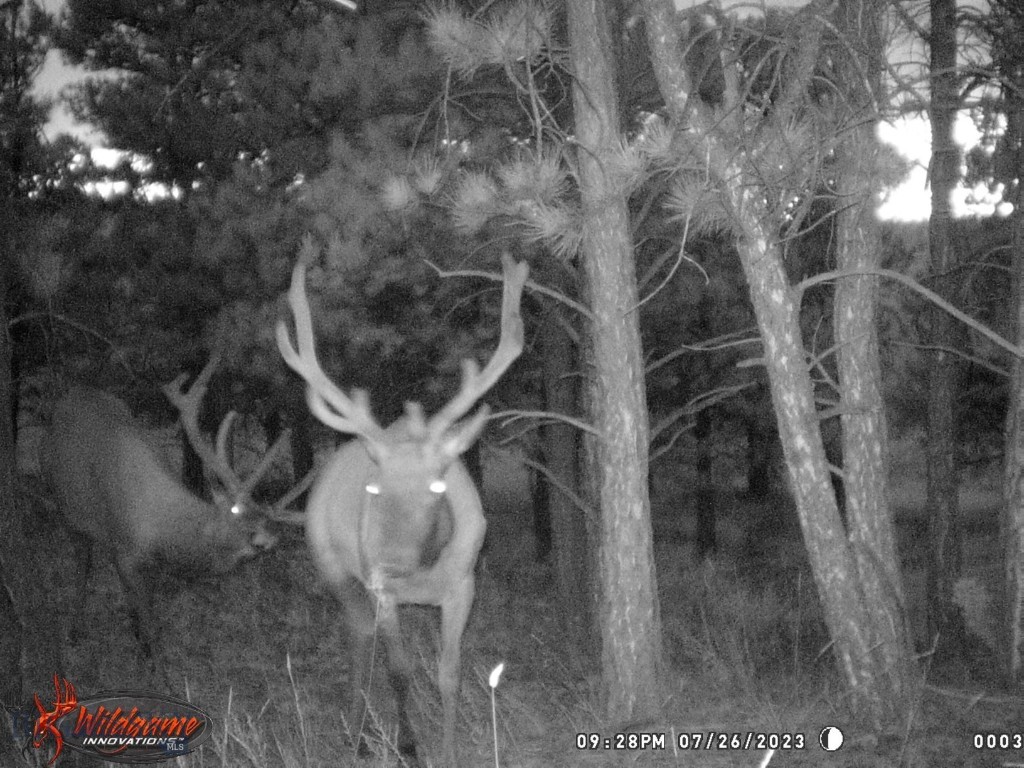 57 South Barber Rd Property Photo 16