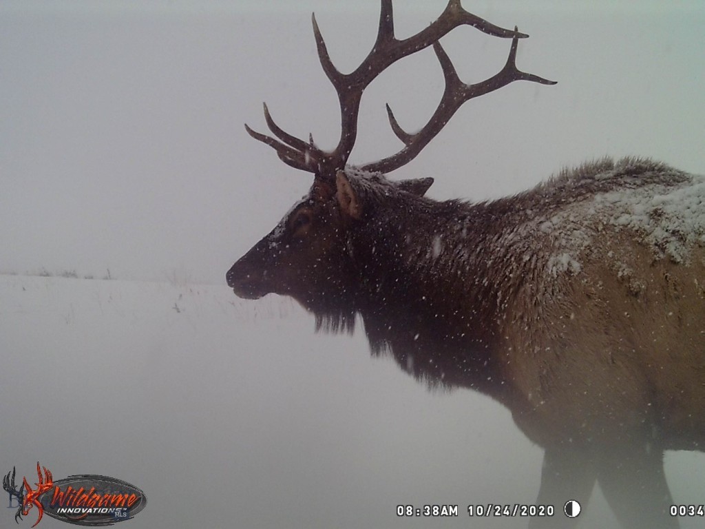 57 South Barber Rd Property Photo 41