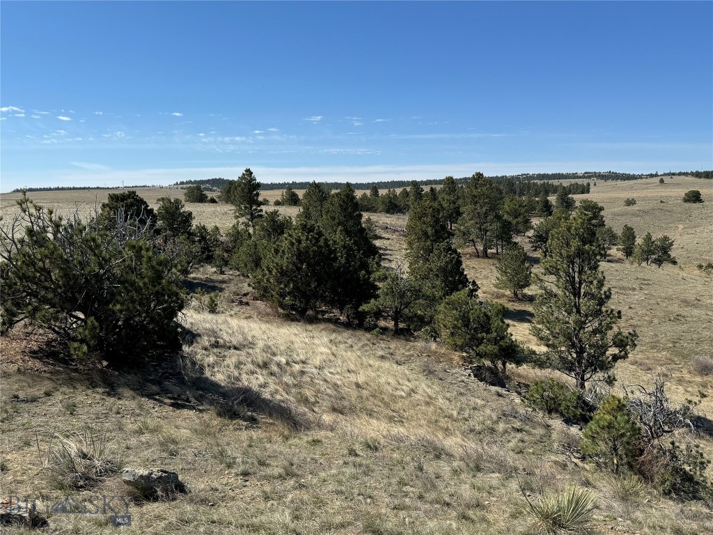 57 South Barber Rd Property Photo 43