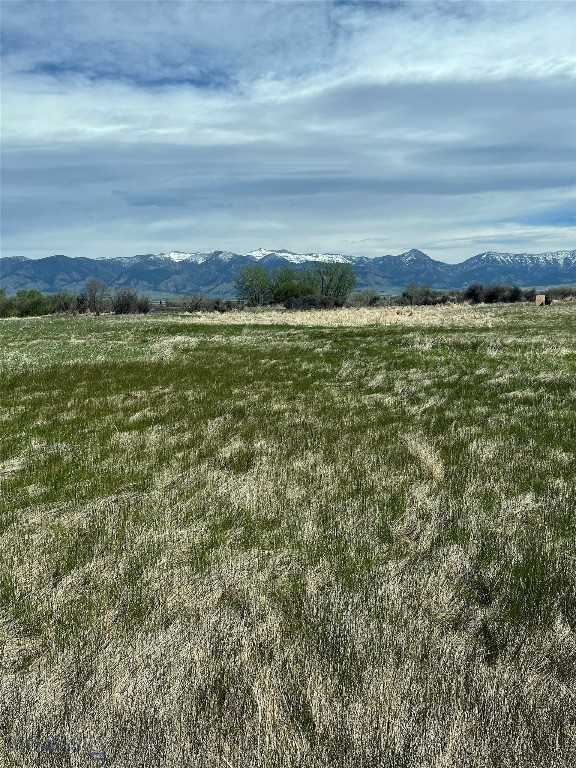 Tbd Hamilton Property Photo 2