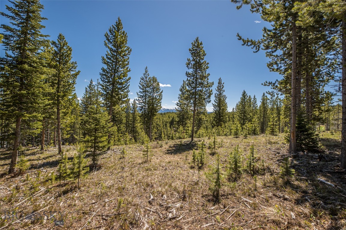 Tbd Eagle View Trail Lot 26 Property Photo 10