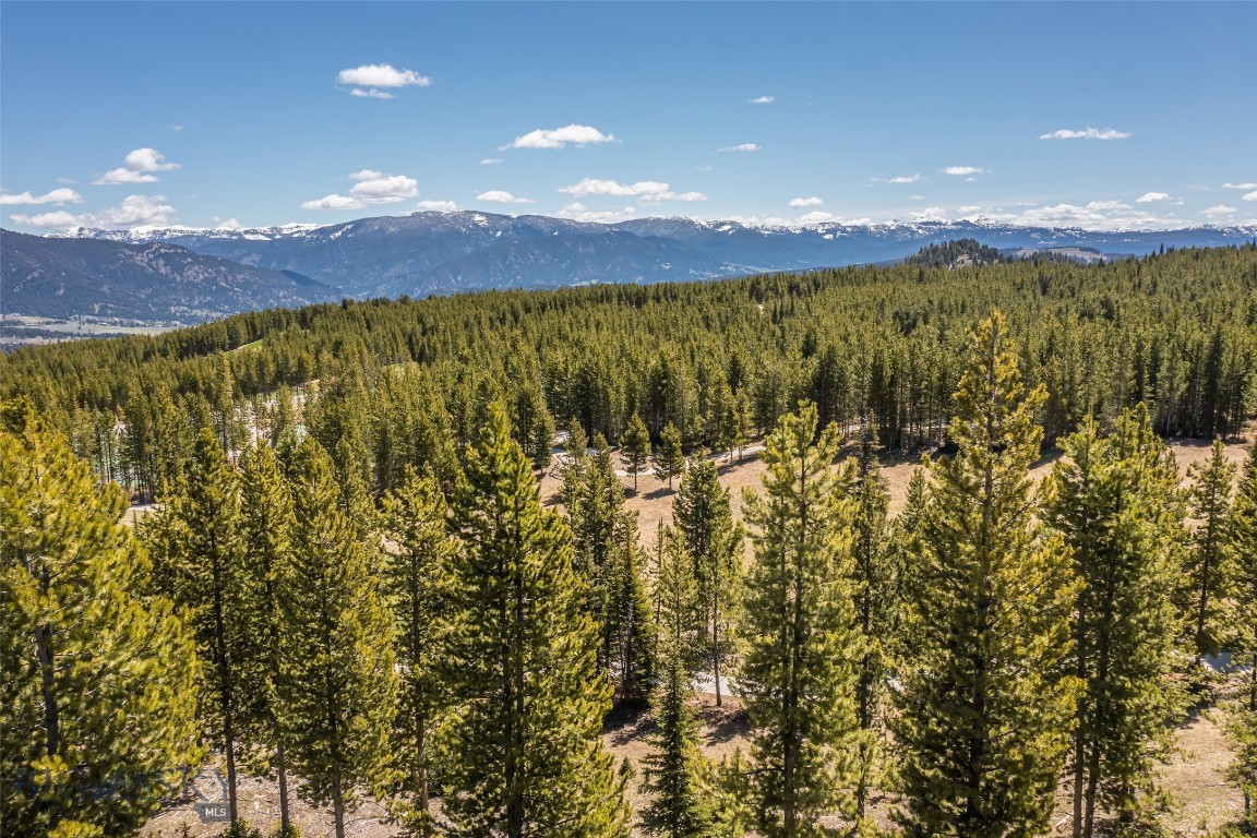 Tbd Eagle View Trail Lot 26 Property Photo 17