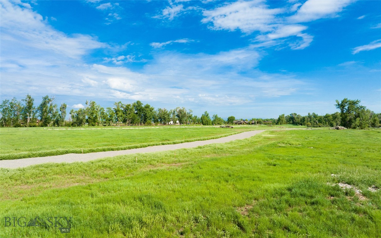 Lot 3 River Road Property Photo 18