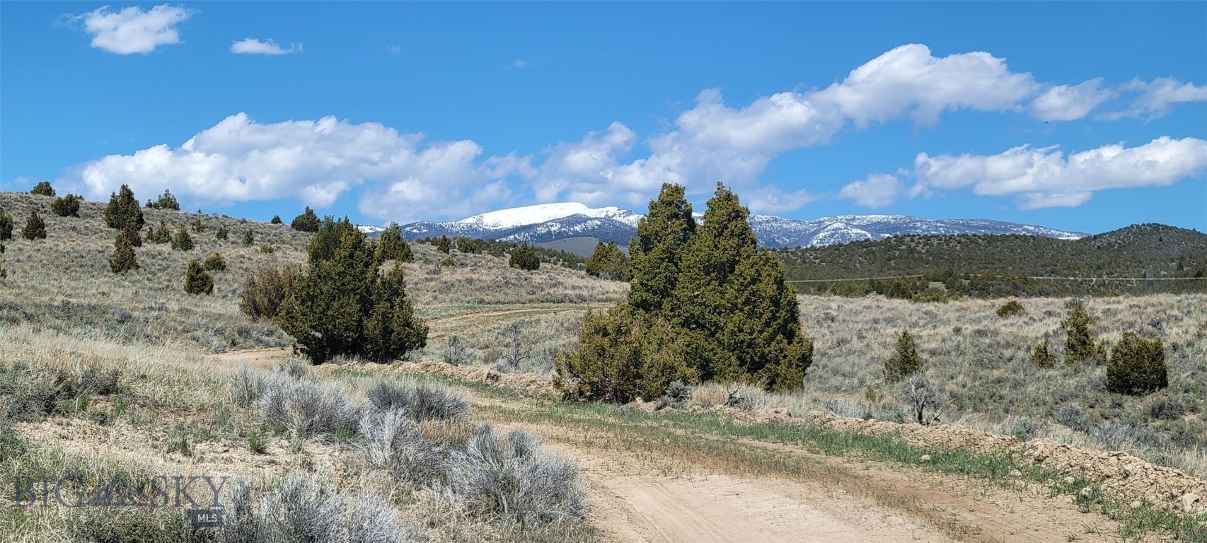 392902 Property Photo 4