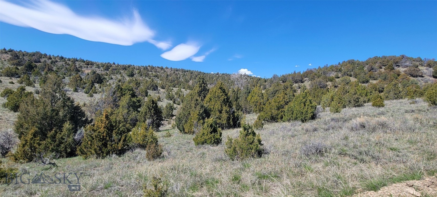 392902 Property Photo 9