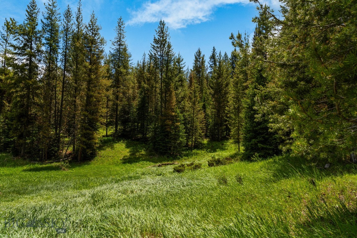 Lot 20 Michener Creek Road Property Photo 10
