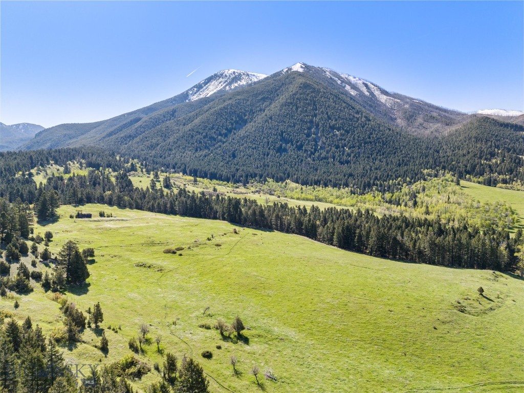 Tbd Deep Creek Rd Property Photo 1