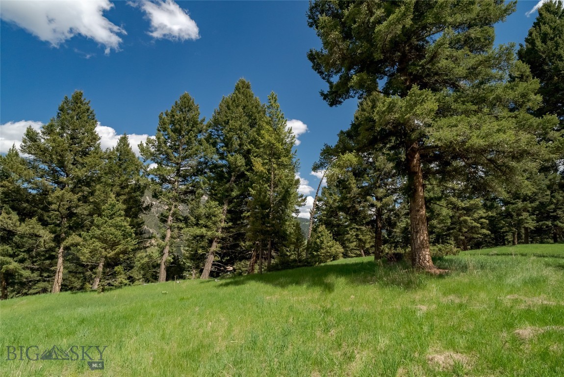 Lot 16 Colters Run Loop Property Photo 8