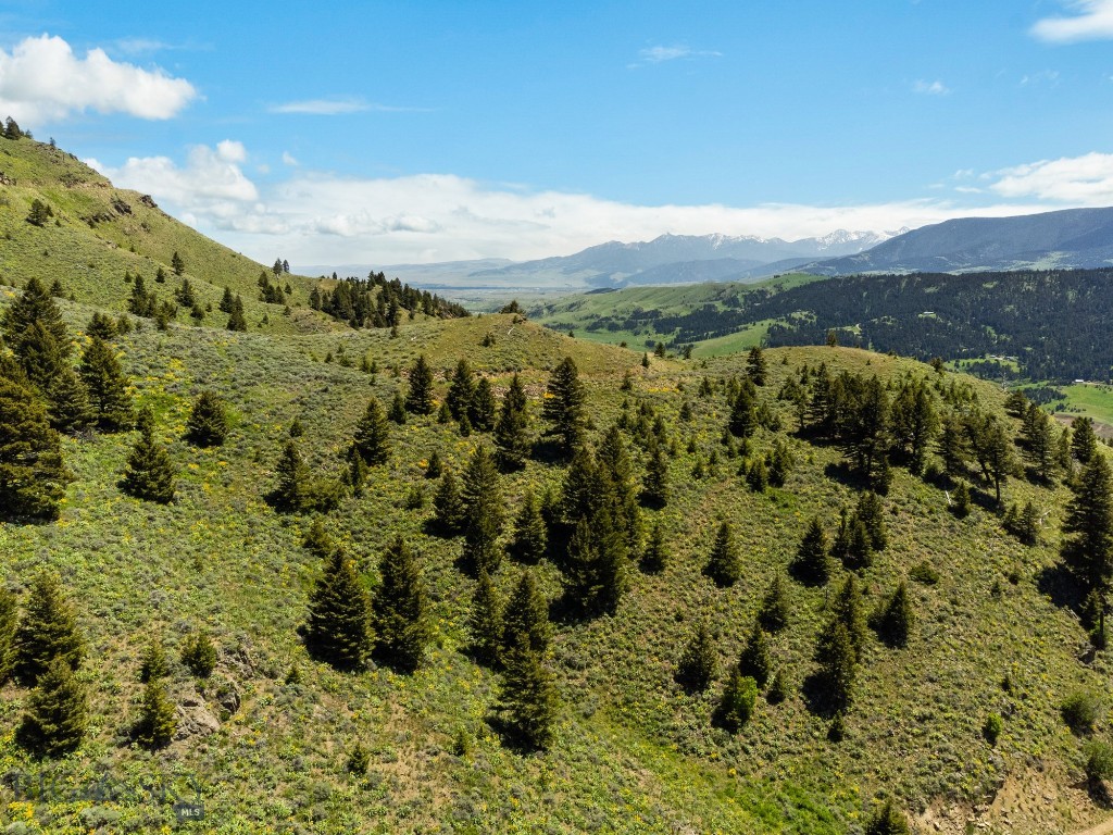 Lot 9 Sunflower Lane Property Photo 6