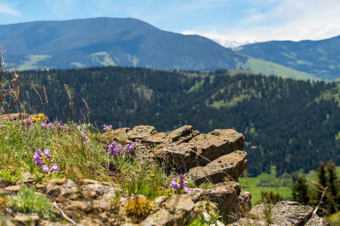 Lot 9 Sunflower Lane Property Photo 7