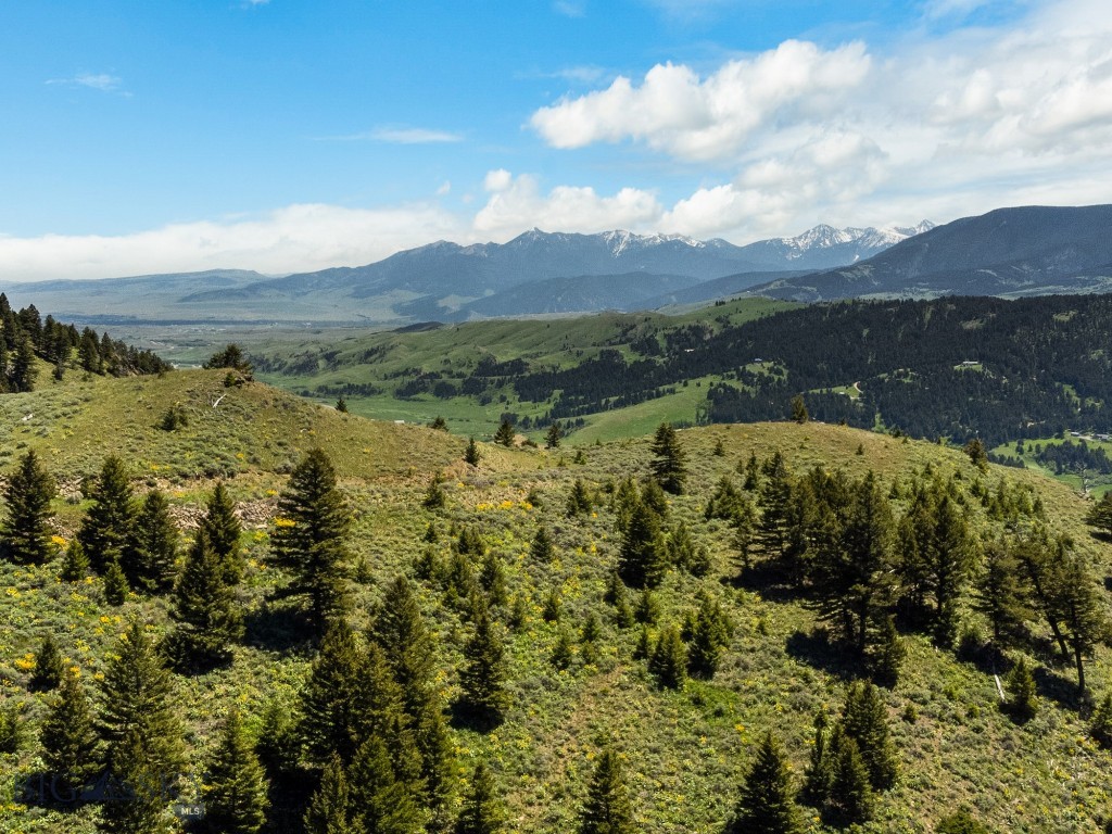 Lot 9 Sunflower Lane Property Photo 8