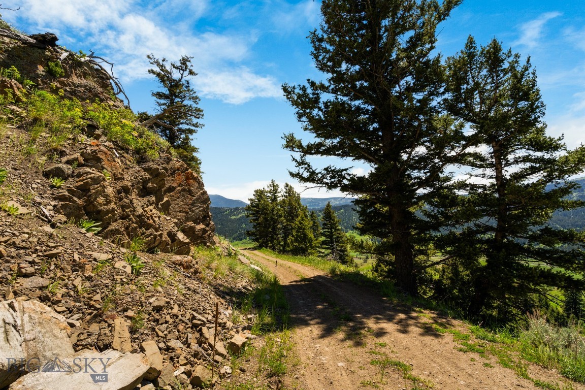 Lot 9 Sunflower Lane Property Photo 9