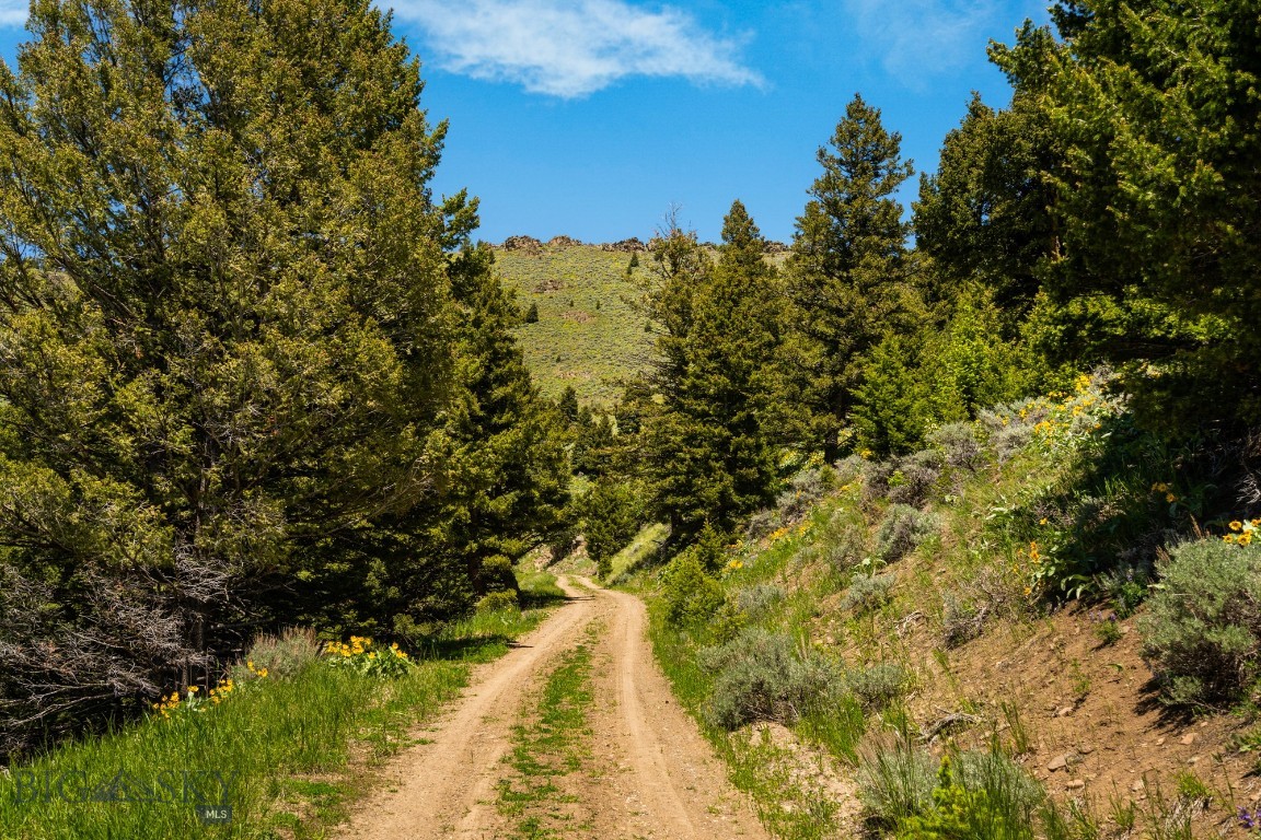 Lot 9 Sunflower Lane Property Photo 12