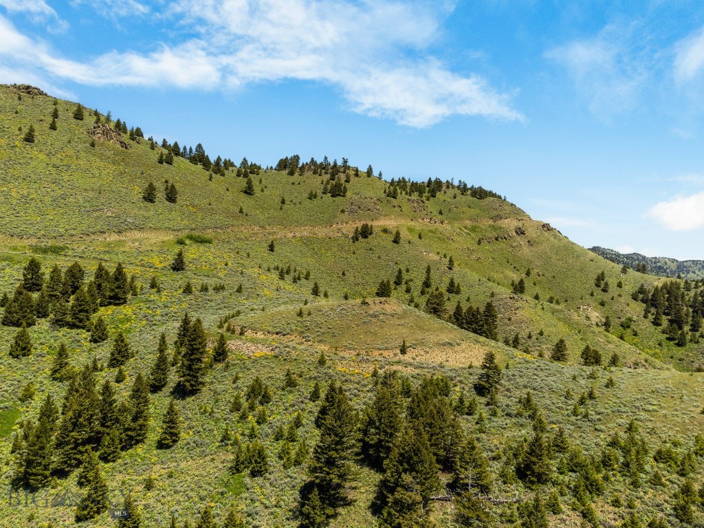 Lot 9 Sunflower Lane Property Photo 14