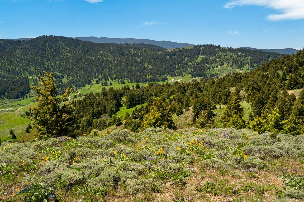 Lot 9 Sunflower Lane Property Photo 18