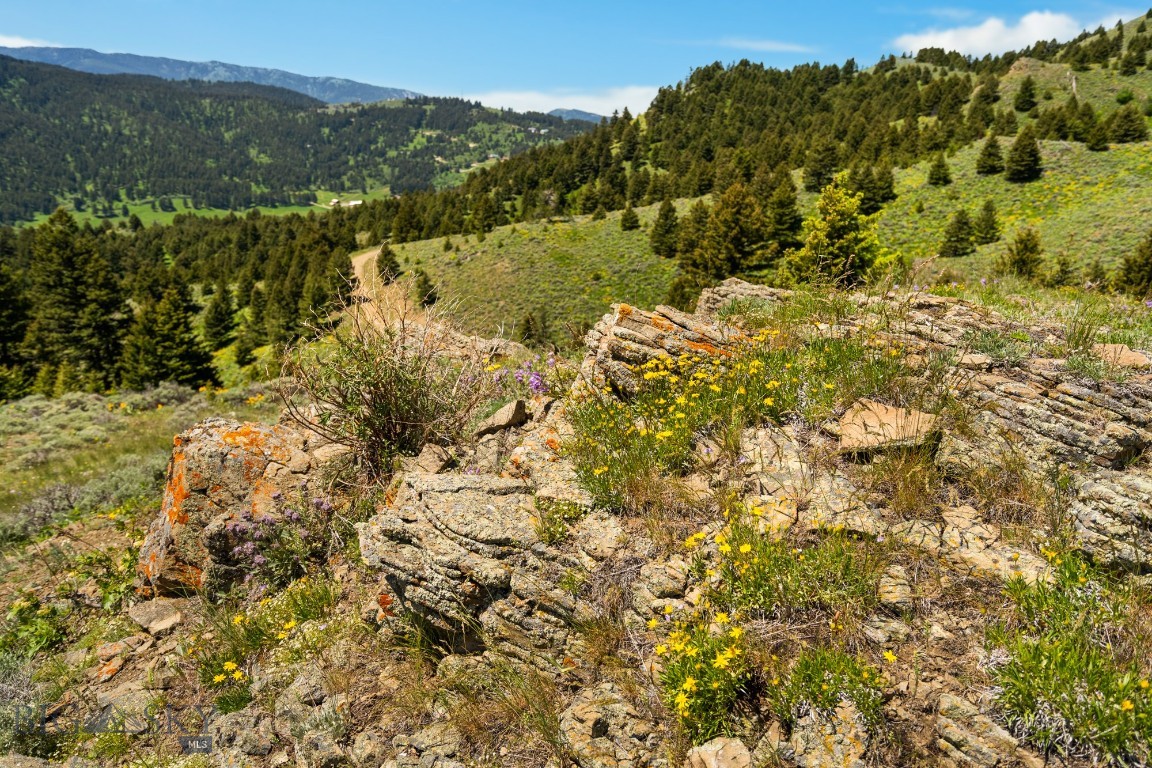 Lot 9 Sunflower Lane Property Photo 20