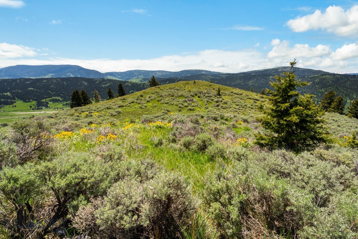 Lot 9 Sunflower Lane Property Photo 22