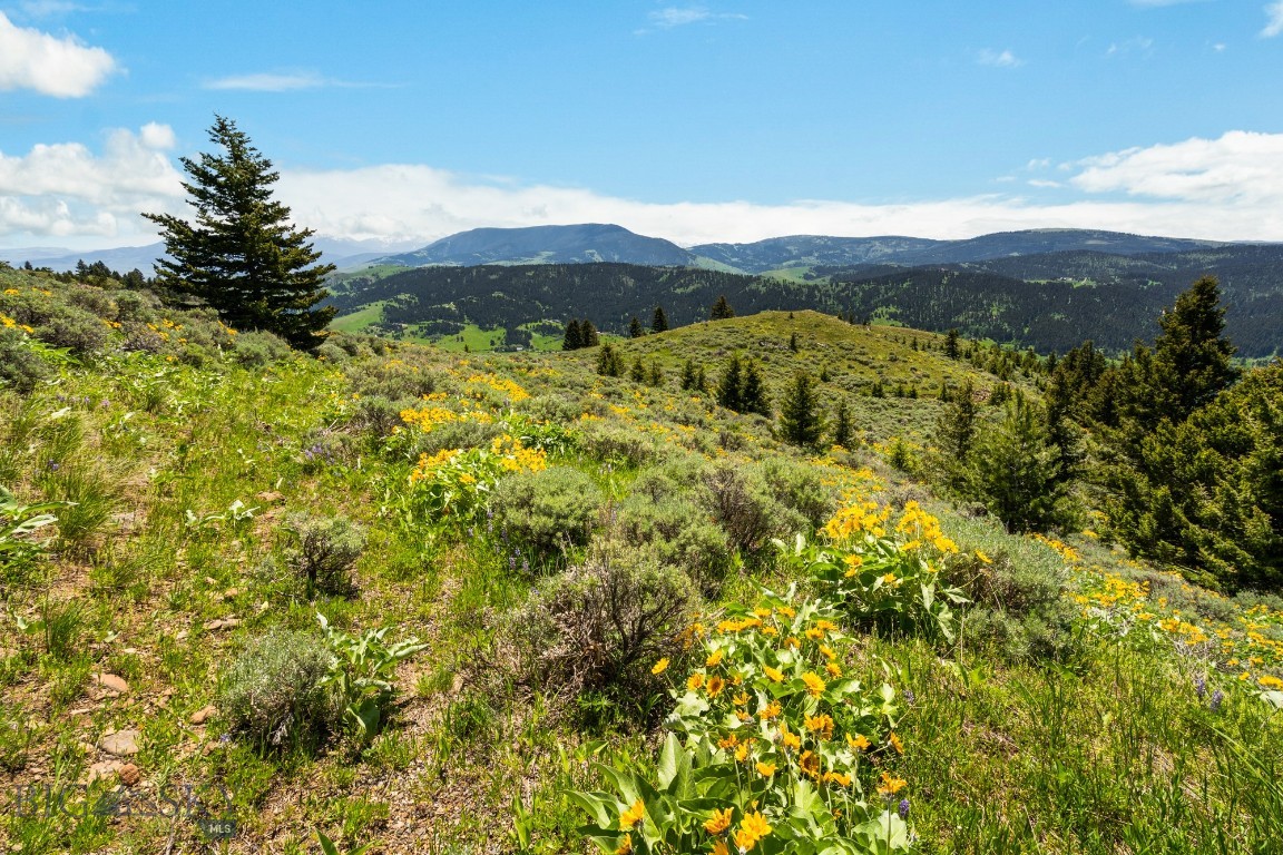 Lot 9 Sunflower Lane Property Photo 23