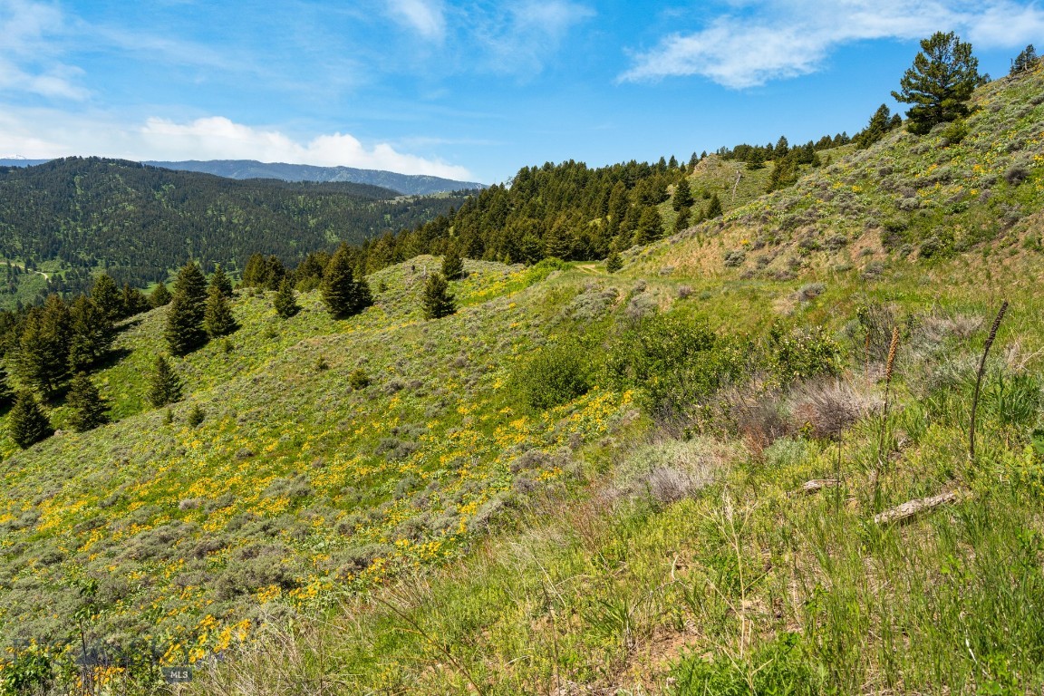 Lot 9 Sunflower Lane Property Photo 26