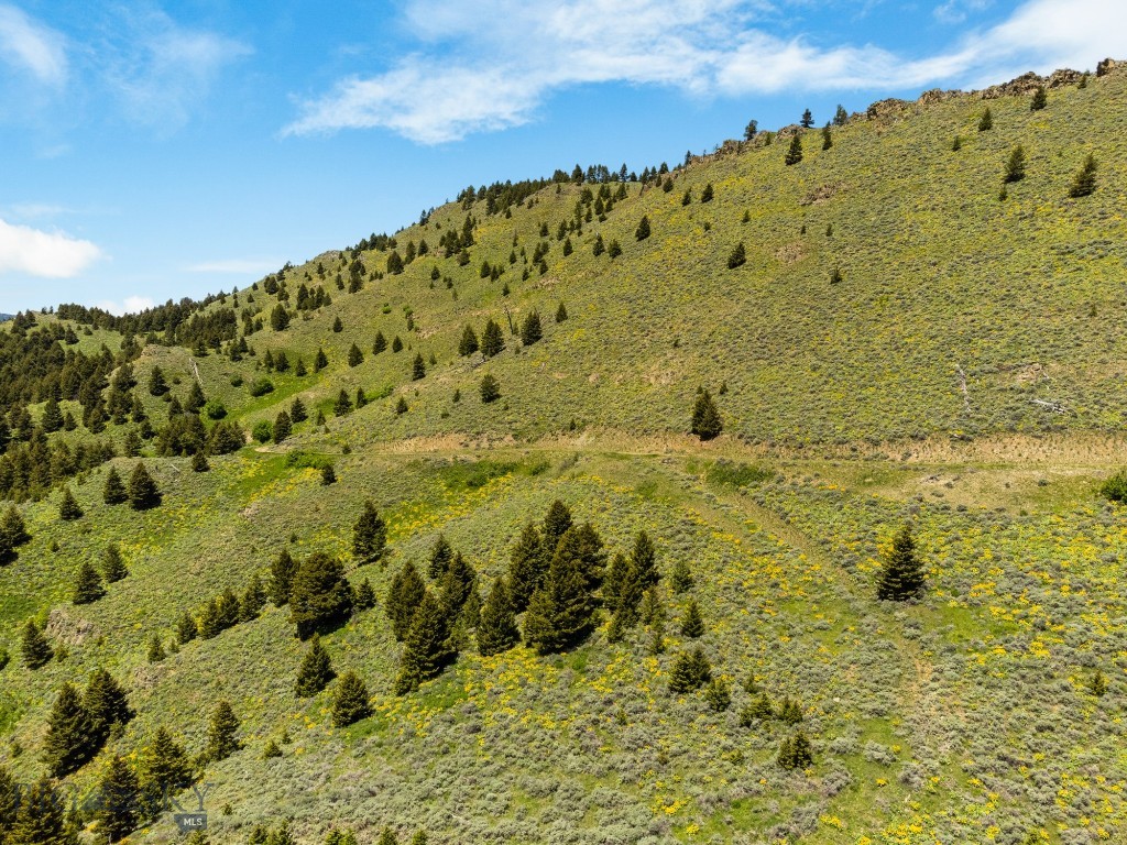 Lot 9 Sunflower Lane Property Photo 32