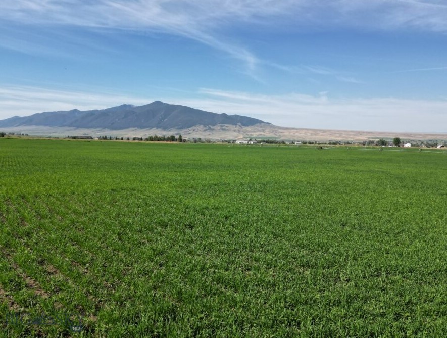 Tbd Mill Street Property Photo 7